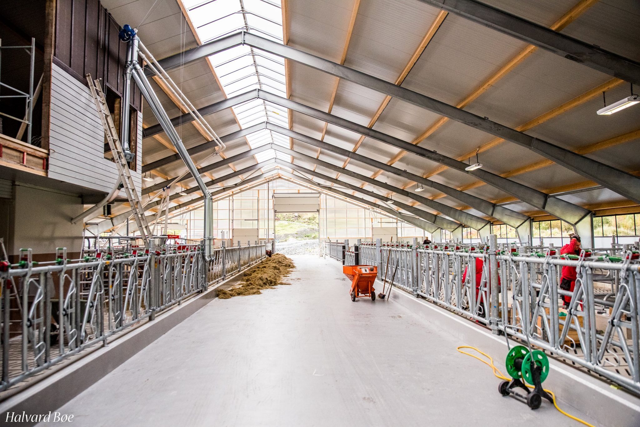 Oversiktsbilde innendørs av gjos. Foto