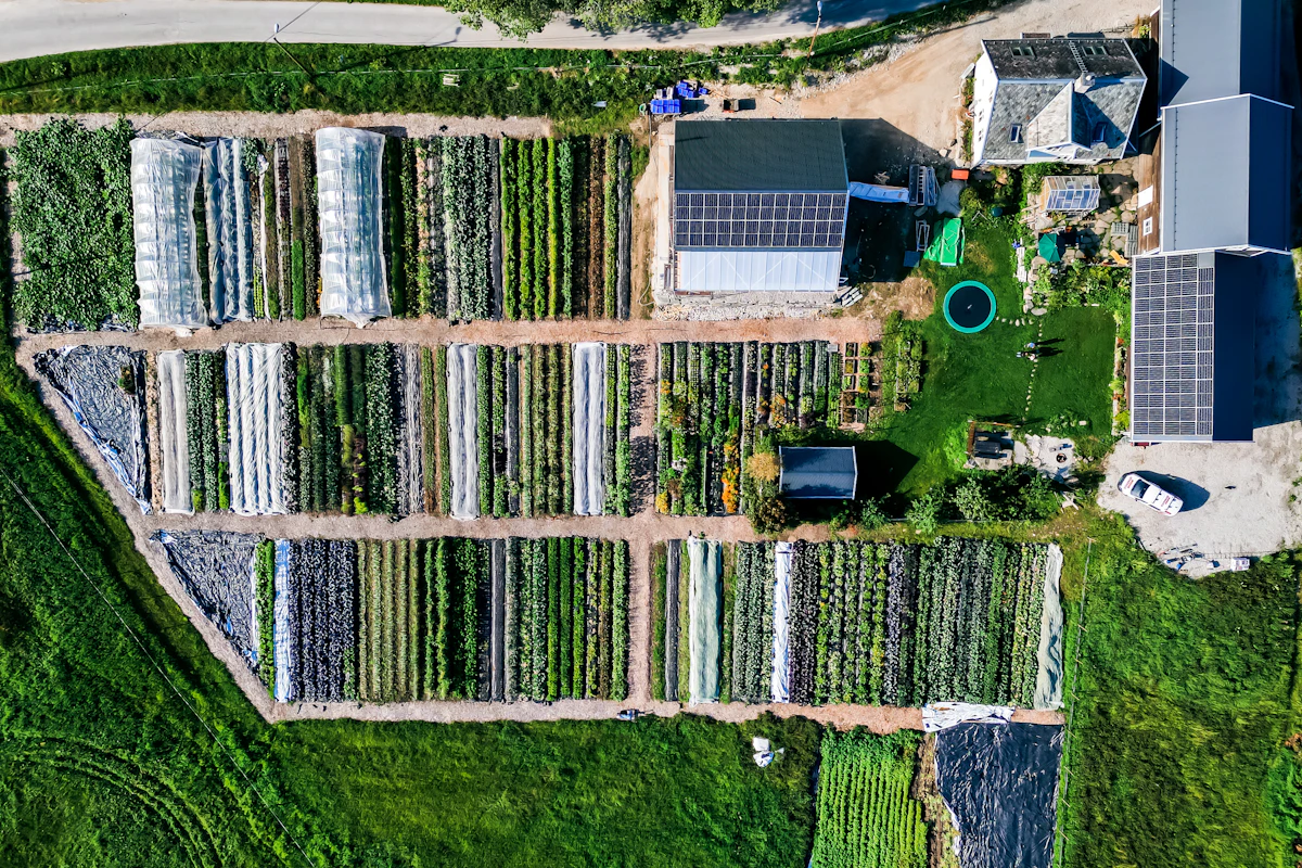 Solceller på to av bygningene rundt er grønnsakshage og planter fint på linje. Dronefoto