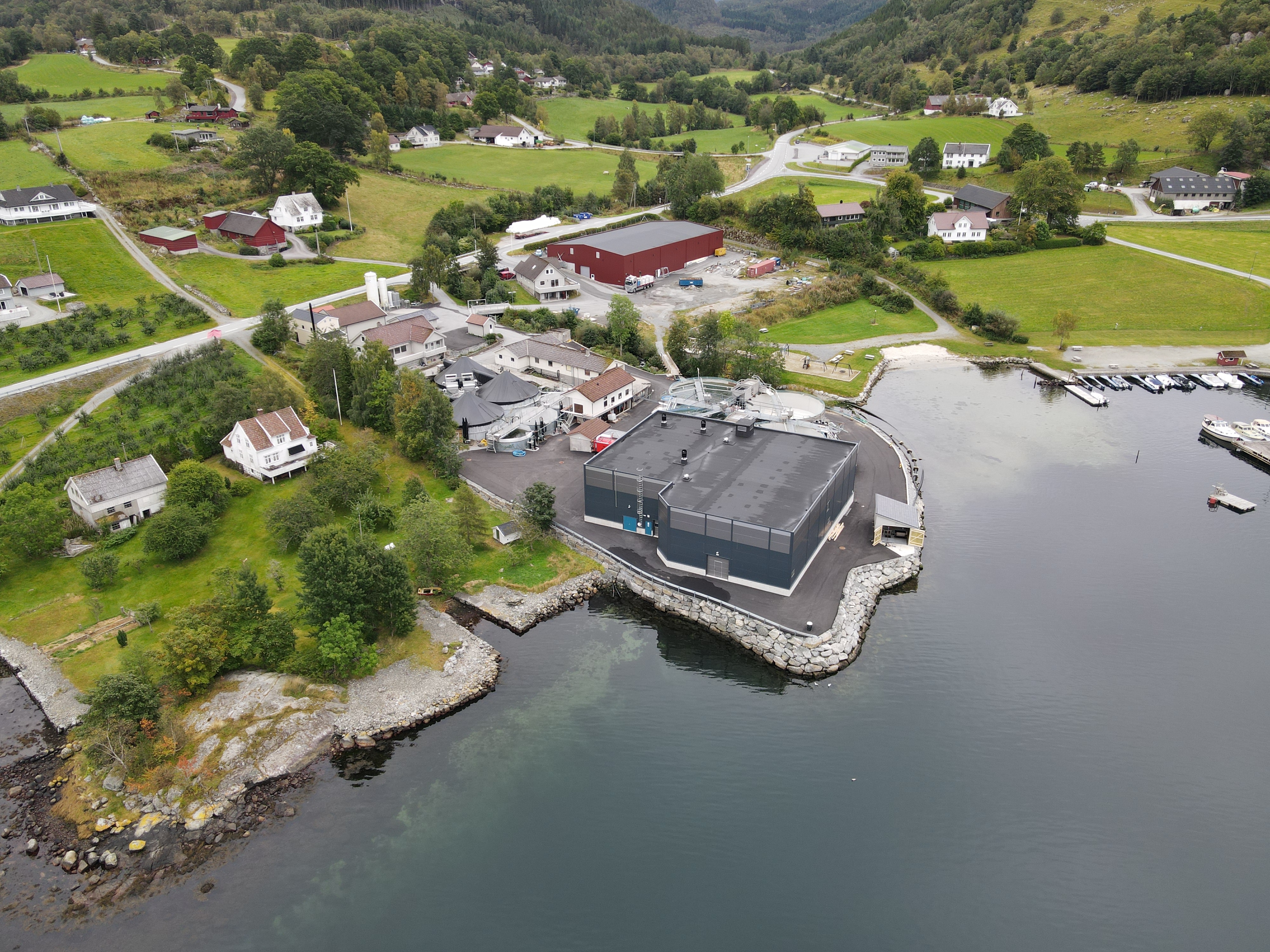 Bilde av FIster smolt