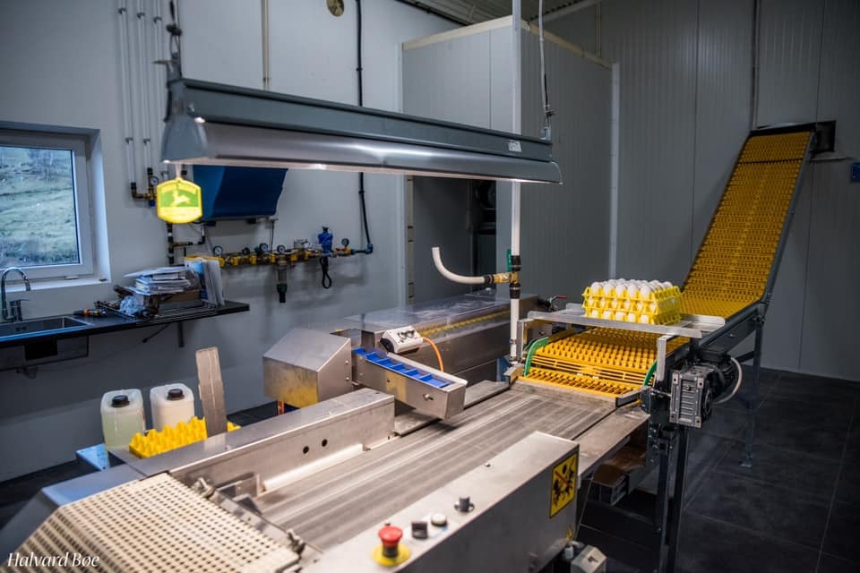 Lys over pakkebord, hønshus. Foto