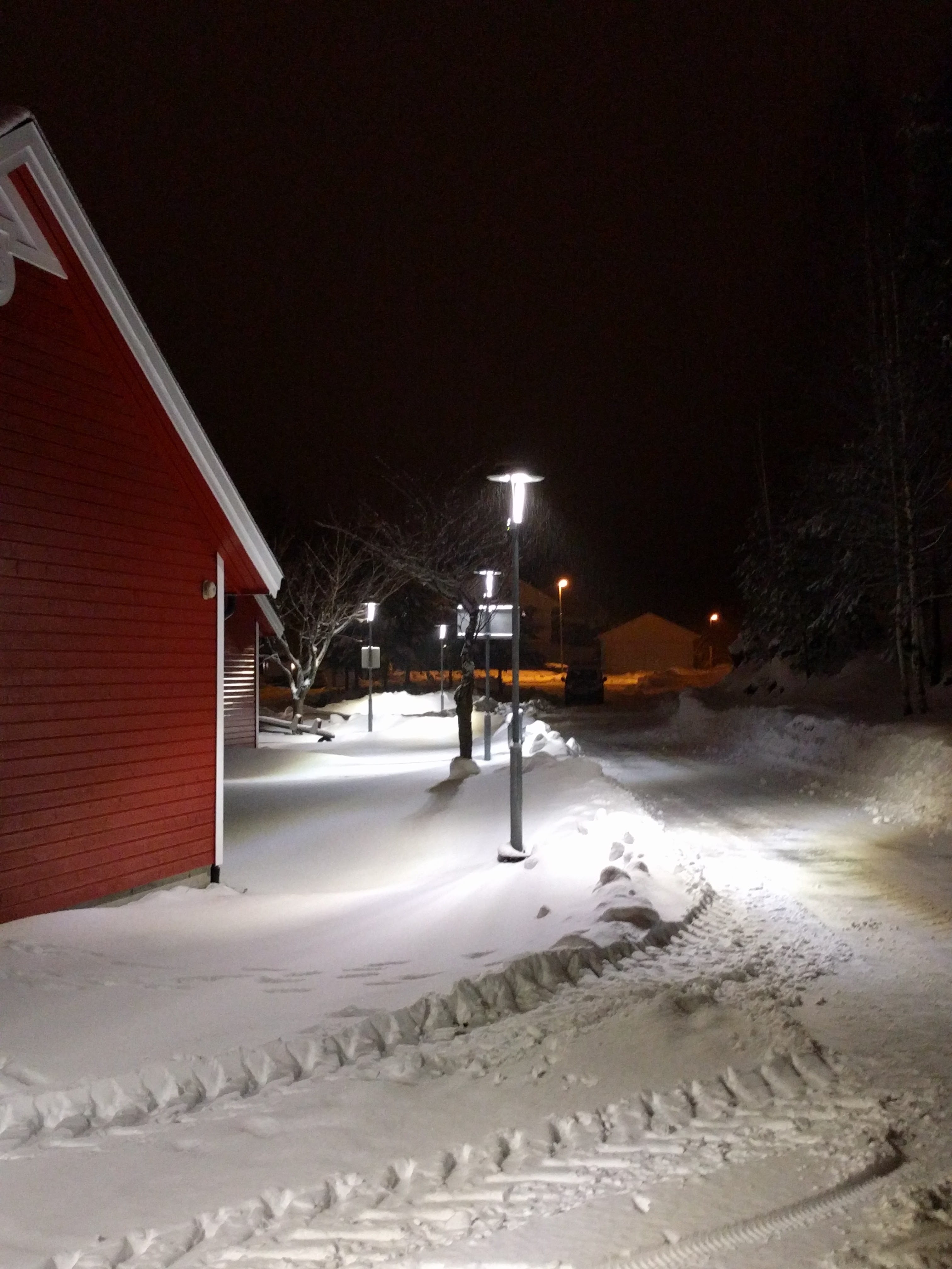 Gatelys langs veien, en mørk vinternatt. Foto.