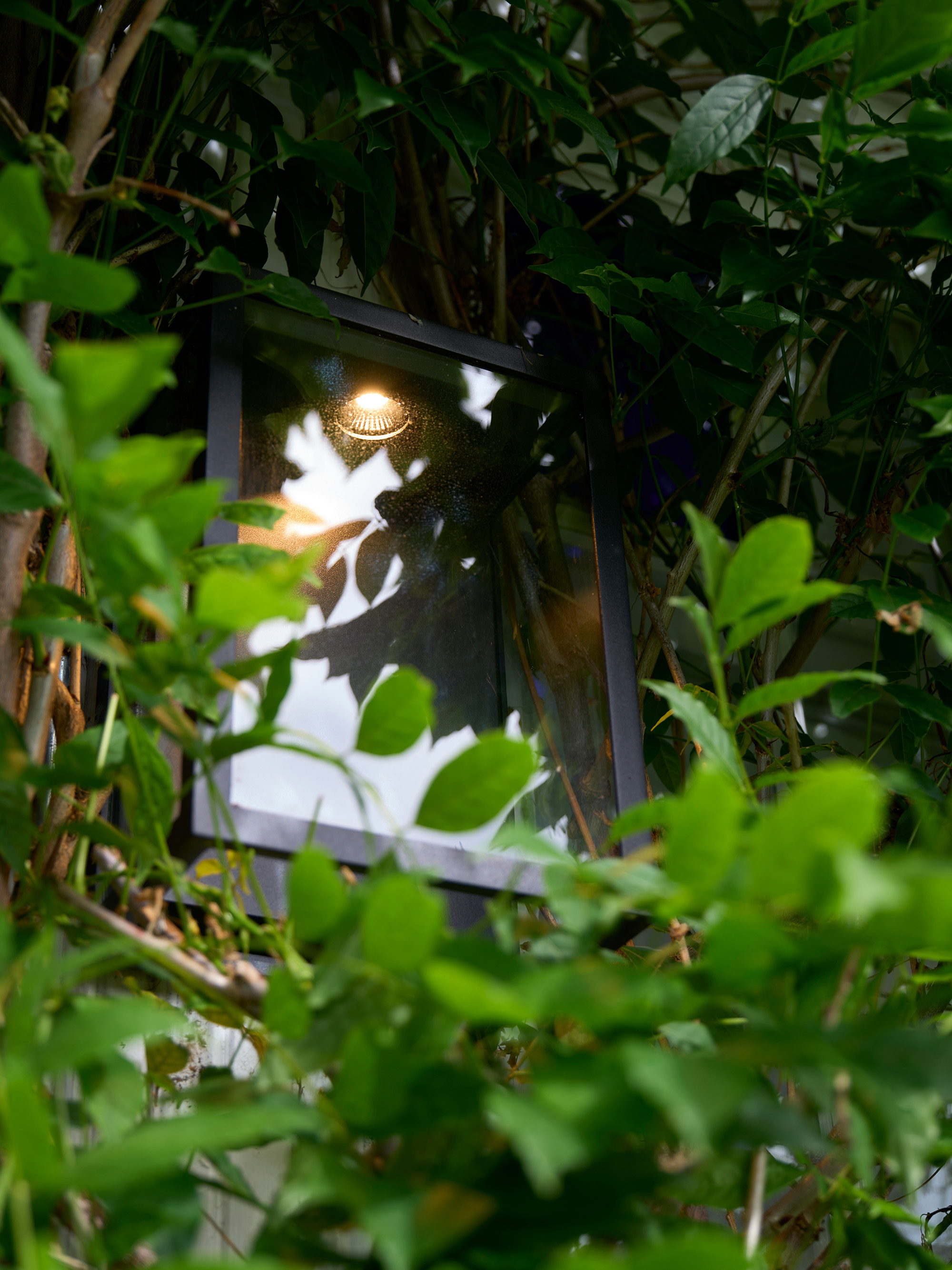 Nærbilde av Fagernes lampe omfavnet av busker