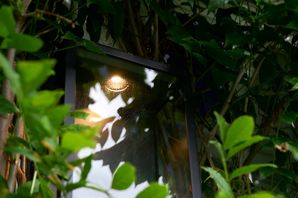 Nærbilde av Fagernes lampe omfavnet av busker